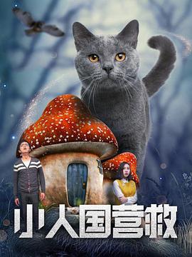 麻豆91视频