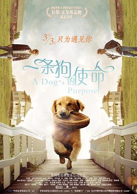 伊人色综合网