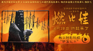 欧美伦理片免费观看