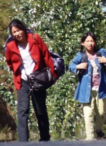 金权性游戏