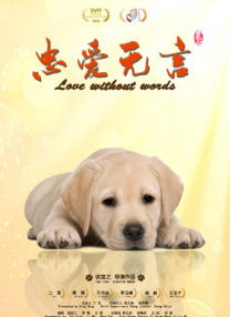 www污视频