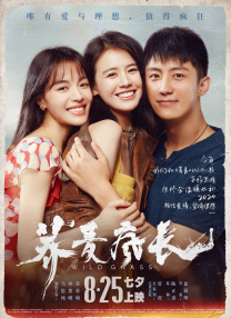 妻子的背叛